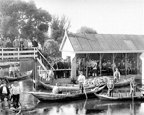 Broek op langedijk 8 resultaten. Broekerveiling Broek op Langedijk | Nederland, Foto, Dorp