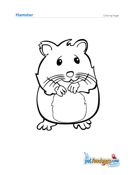 Realistic Hamster Coloring Pages At
