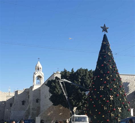 Bethlehem At Christmas Zaytoun
