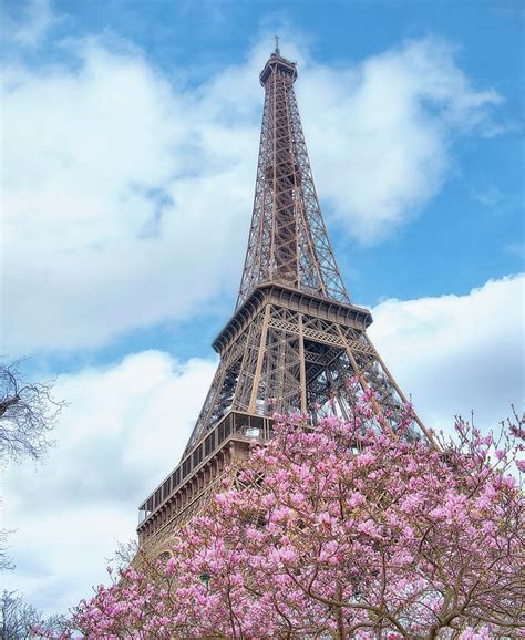 Eiffel Tower Spring Photograph By Cora Niele Fine Art America
