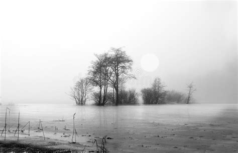 Winter Foggy Day By The Lake Stock Image Image Of Beautiful Lake