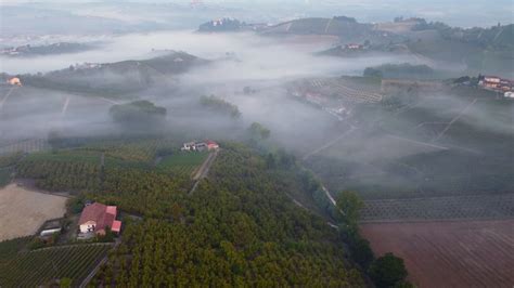 Vineyard Aerial View In Langhe Piedmont Italy 15245297 Stock Video At