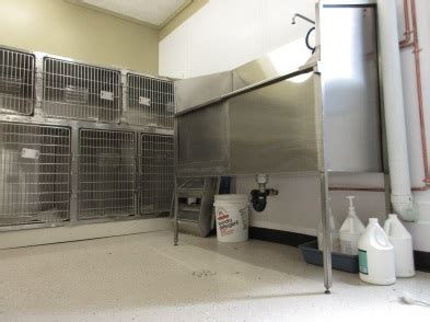 They make your pets feel special and care about their patients a lot. Kennel room - Scott Veterinary Clinic Brantford, Ontario