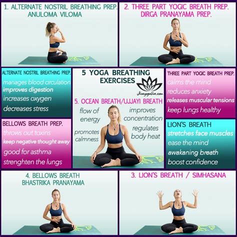 Yoga Breathing Exercises For Beginners Youtube