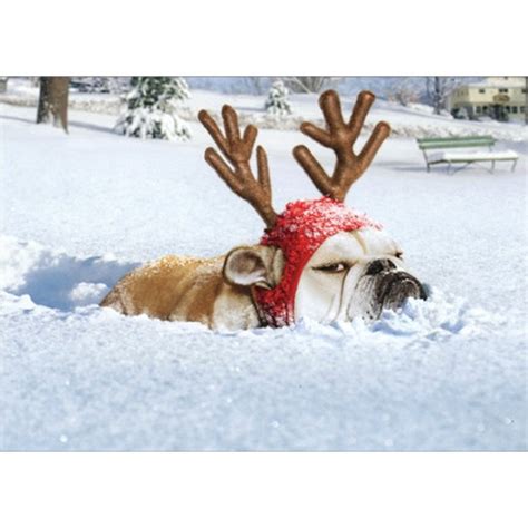 Bulldog Reindeer Funny Humorous Dog Christmas Card