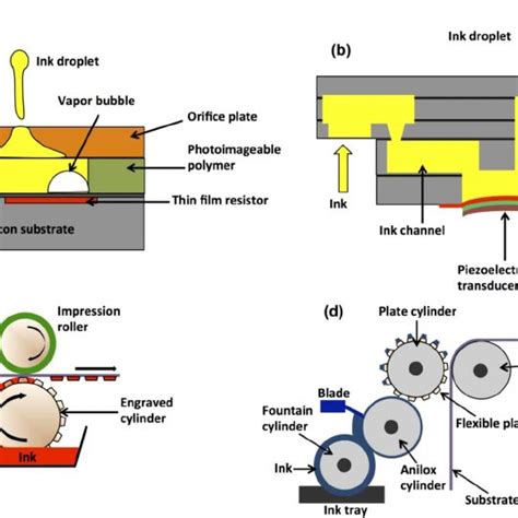 Schematic Diagram Of A Thermal Inkjet Printer B Piezoelectric