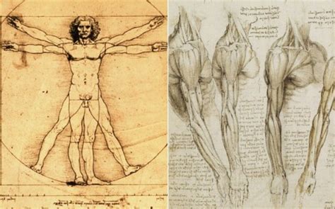 View, isolate, and learn human anatomy structures with zygote body. 10 Interesting Leonardo Da Vinci Facts - My Interesting Facts