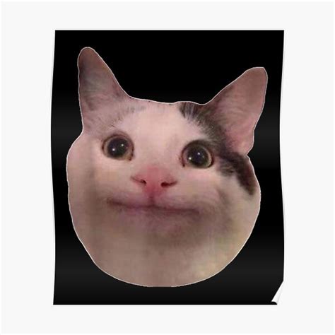 Smiling Cat Beluga Cat Beluga Poster For Sale By Kakoll Redbubble