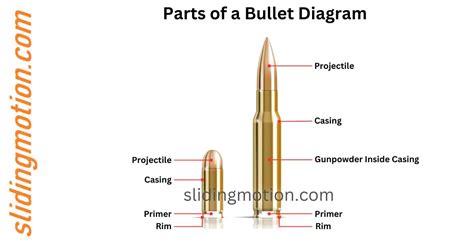 5 Parts Of A Bullet Exploring The Anatomy With Names And Diagram