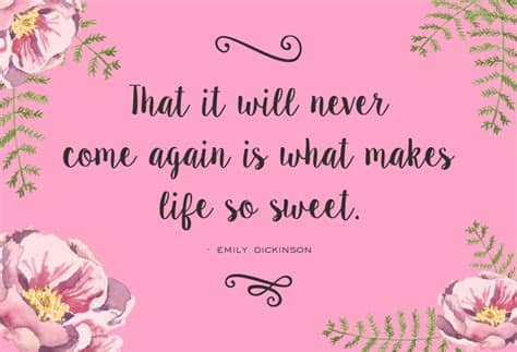 Sugar create font, made for embrace modern culture, when elegant typography. Sugar Plums Hand Drawn Script By Emily Spadoni ...