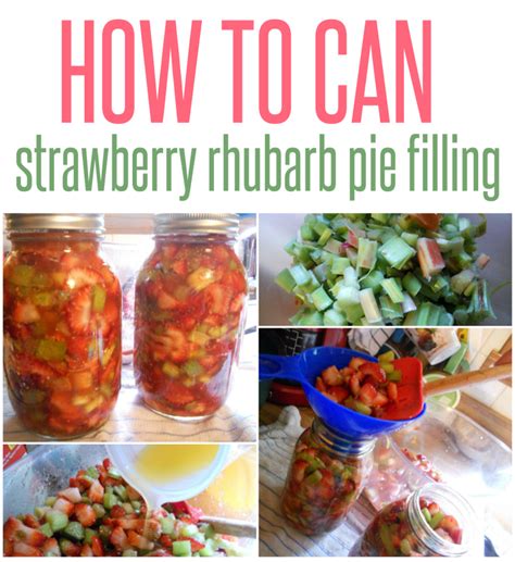 Strawberry pie is a great summer dessert, but on a hot summer day you may not want to turn on your oven. Strawberry Rhubarb Pie Filling - Infarrantly Creative