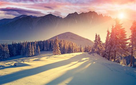 Winter Snow Landscape Nature Wallpaper 1680x1050 837575 Wallpaperup