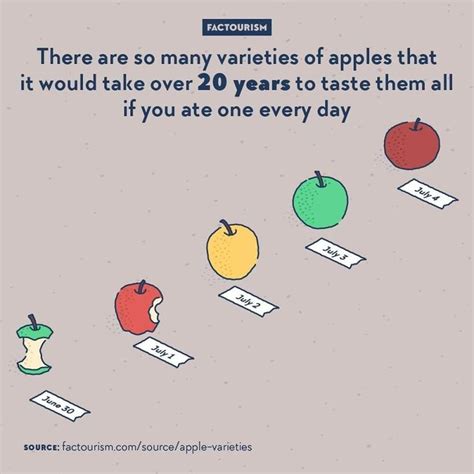 We Illustrated 40 Of The Most Fascinating Facts About Our World