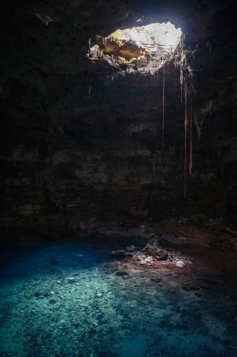 Cenote Samula De Caverna Con Laguna De Agua Turquesa Y Raíces Selvático