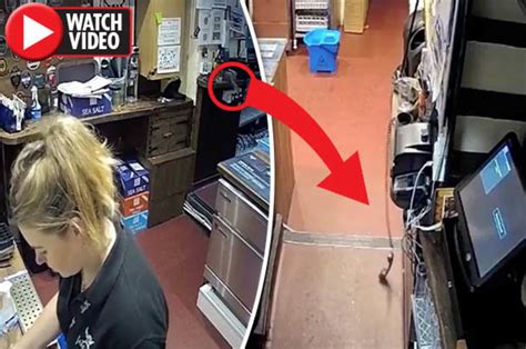 Ghost News Poltergeist Captured In Cctv Of Famous Cornwall Pub