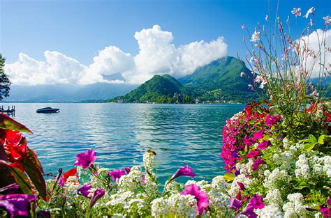 Hd Wallpaper White Petaled Flowers Sea The Sky Clouds Mountains