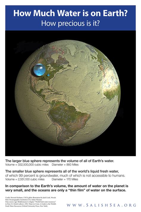 Show that change as a percent of the old value. How Much Water is on Earth - SALISH SEA MARINE SANCTUARY ...