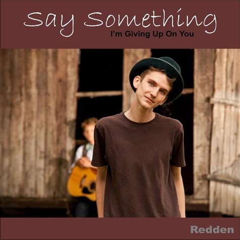 ‎say Something Im Giving Up On You Single Album By Sam Redden