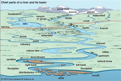 Artsome Features Of A River And Its Basin Such As Branches And