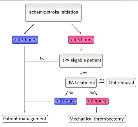 The Current Flow Of Therapeutic Approaches In Ischemic Stroke After