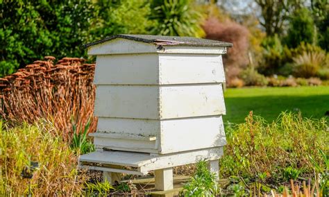19 Easy Homemade Beehive Plans