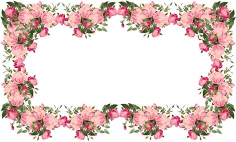 Download Rose Flower Borders Full Size Png Image Pngkit