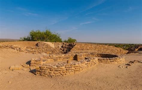 patan dholavira and little rann of kutch private tour package agora travels