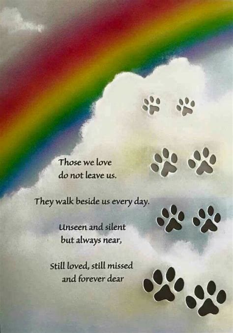 Explore our collection of motivational and famous quotes by authors you know and love. Pin by Claudia Choquette on Pet Remembrance | Pet loss ...