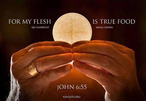 What Is The Eucharist Or Holy Communion 5 Points On The Eucharist To