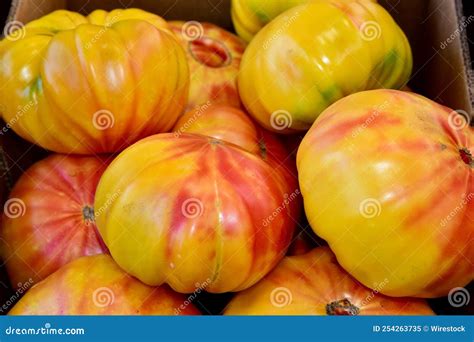 Closeup Of Heirloom Tomato Mr Stripey Beefsteak Tomatoes