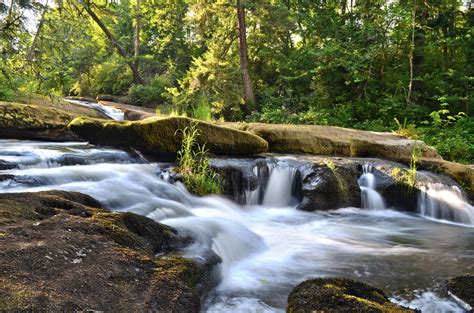 Canada Forest Jungle River Rocks Stones Waterfalls Wallpapers Hd