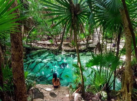 8 Best Cenotes Near Playa Del Carmen | Not To Miss