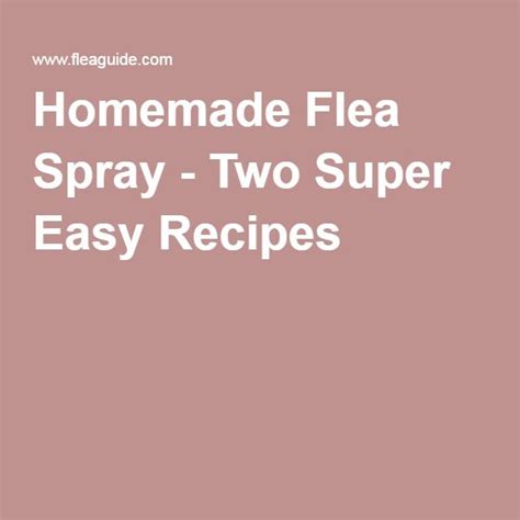 Homemade Flea Spray Two Super Easy Recipes Homemade Flea Spray
