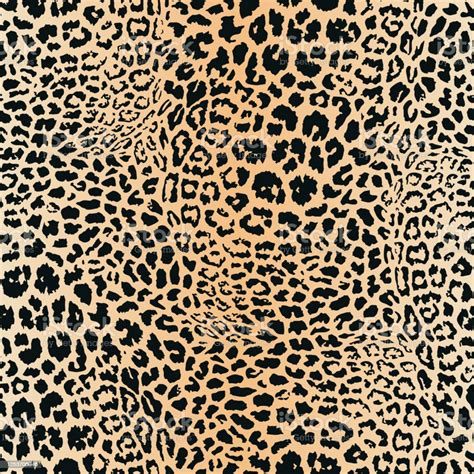 Leopard Skin Pattern Vector Seamless Texture Animal Print Jaguar