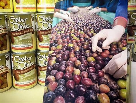 Graber Olive House Ontario Day Trip Free Factory Tours T Shop