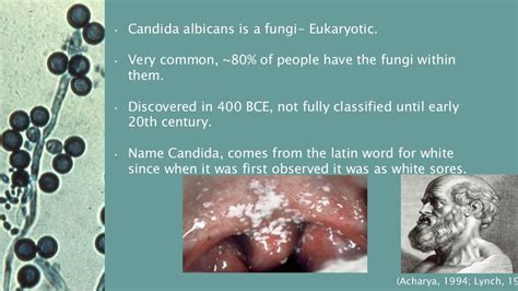 Microbial Cv On Candida Albicans