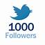 1000 Twitter Followers Job For $1 By Jmoghnieh  SEOClerks