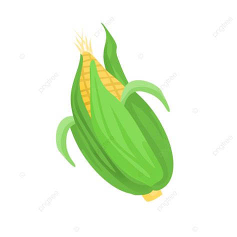 Cartoon Hand Drawn Vegetables Staple Food Corn Hand Drawn Grain Food