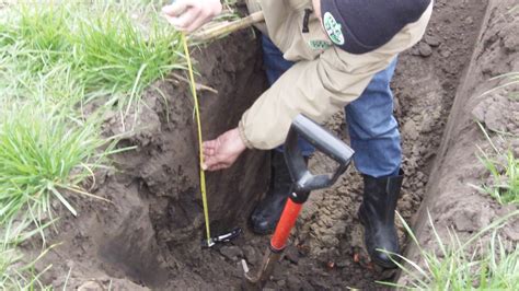Grass seed germination time for grass seed germination temperature. What if a cover crop dies over the winter…was it still valuable? | Plant Cover Crops