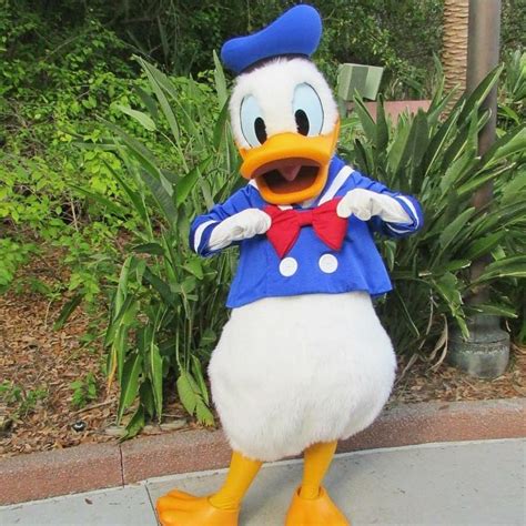 Pin By Lela King On Donald Duck Disney Disney Characters Donald Duck