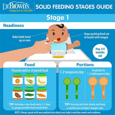 Solid Feeding Stages Guide For Babies Dr Browns Baby