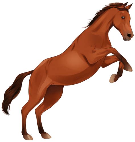 Anglo Arabian Horse Clipart Free Download Transparent