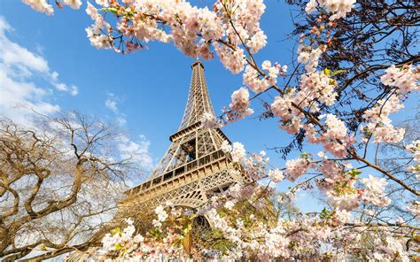 Paris In Spring Wallpapers Top Free Paris In Spring Backgrounds