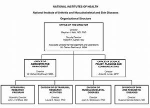 Nypd Organizational Structure Chart