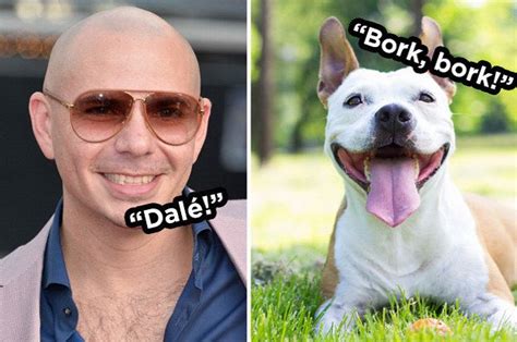 Dalé All Day Funny Pitbull Quotes Pitbull The Singer Celebrity Memes