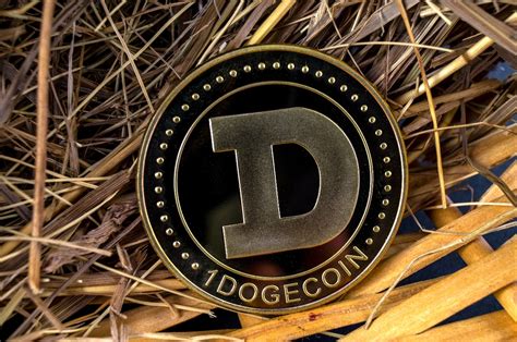 Exchanges are platforms that allow the exchange of fiat currencies such as dollars or euros against digital payment methods: How to buy Dogecoin - The Cryptonomist