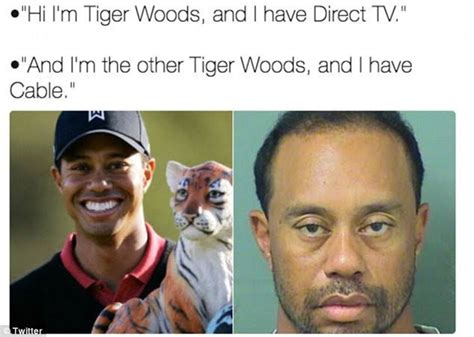 tiger woods best mugshot memes expert predictions picks and previews