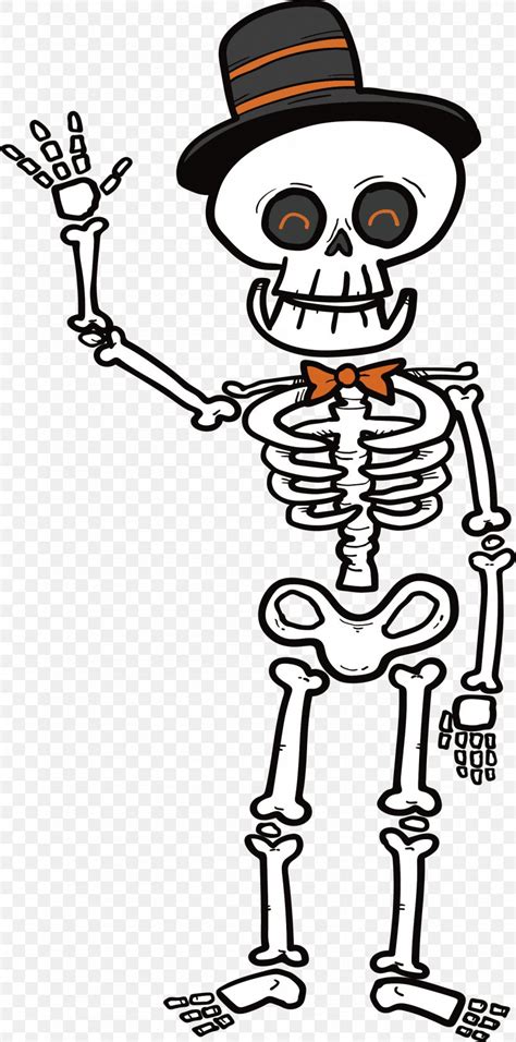 Human Skeleton Microsoft Powerpoint Clip Art Png 1492x3013px