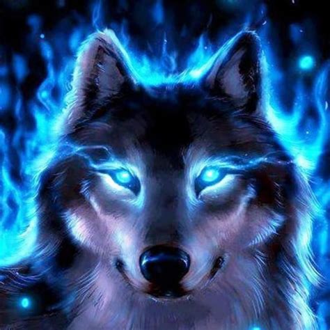 10 Best Cool Wolf Wallpaper Hd Full Hd 1920×1080 For Pc Background 2023
