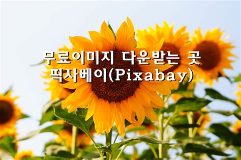 View their personal photography portfolio on pexels →. 무료이미지를 다운받을 수 있는 픽사베이(Pixabay)